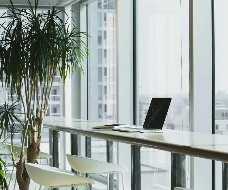 A bright office with green plants, a clear worktop and floor-to-ceiling windows.